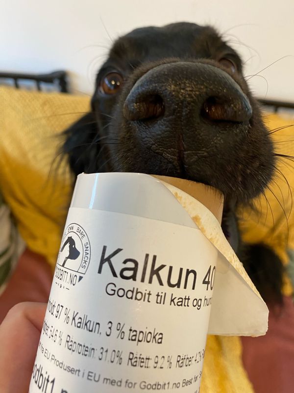 Godbitpølse - Kalkun