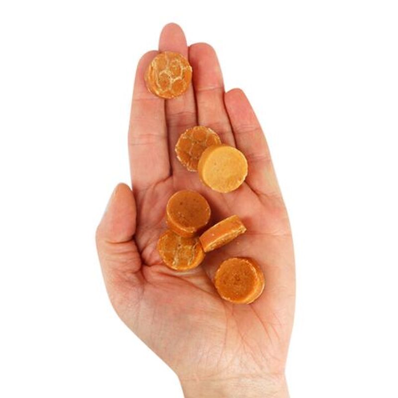 Companion Chicken Coins 80g
