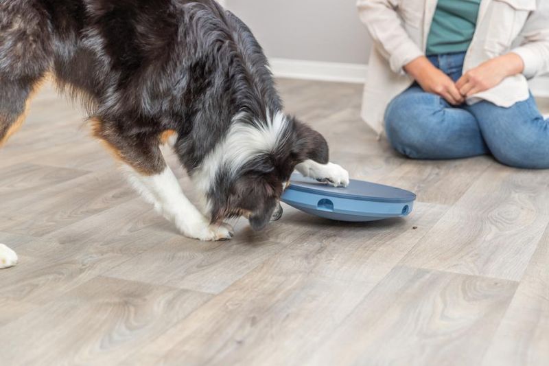 Trixie Dog Activity Rocking Maze