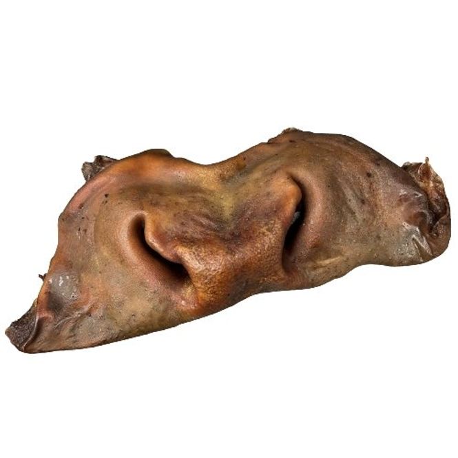 Hovedbilde Storfe Snuter