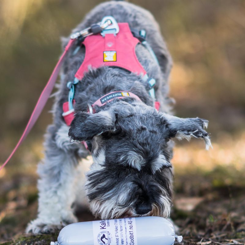 Godbitpølse - Kalkun