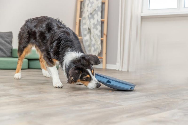 Trixie Dog Activity Rocking Maze