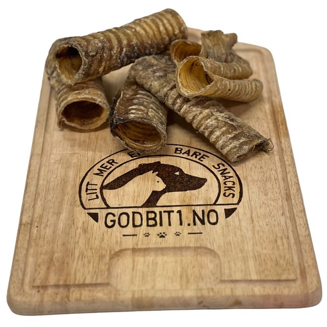 Hovedbilde Luftrør Kamel