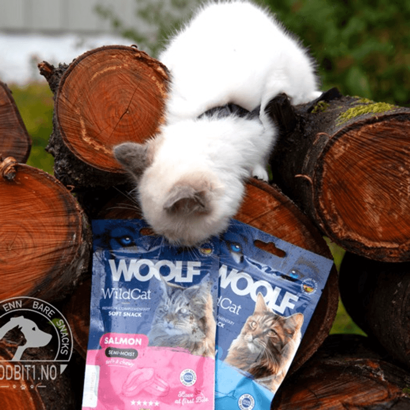 Woolf Wildcat Snacks Oily Fish 50g